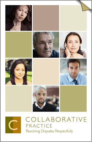Collaborative e-Book